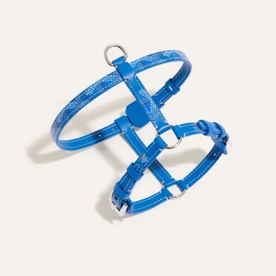 HARNAIS EDMOND MINI Sky Blue