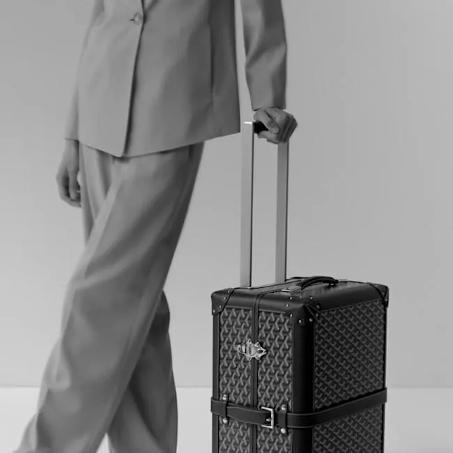 video Bourget PM Trolley Case